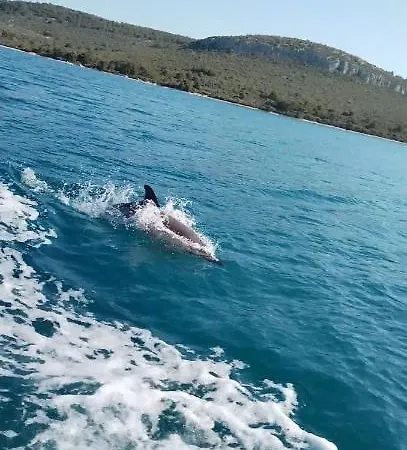 Chalet Isolated, 30m To Sea, Viktoria S Kali