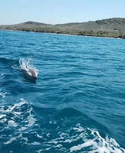 Isolated, 30m To Sea, Viktoria S Chalet